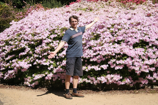 Adam Dimech standing in front of a large azalea bush