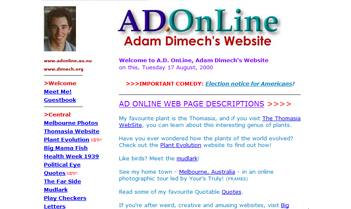 Screen shot of website in November 2000